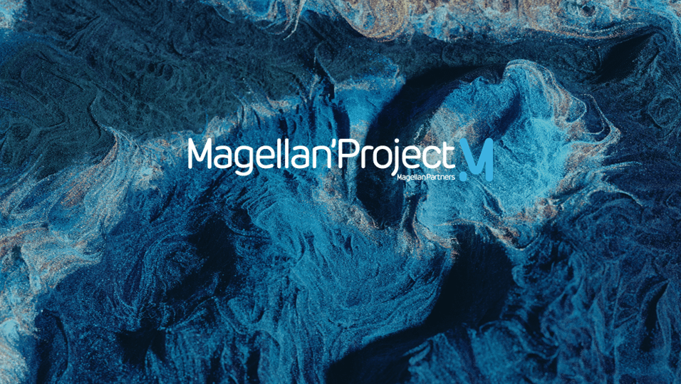 Fond texturé avec logo Magellan Project
