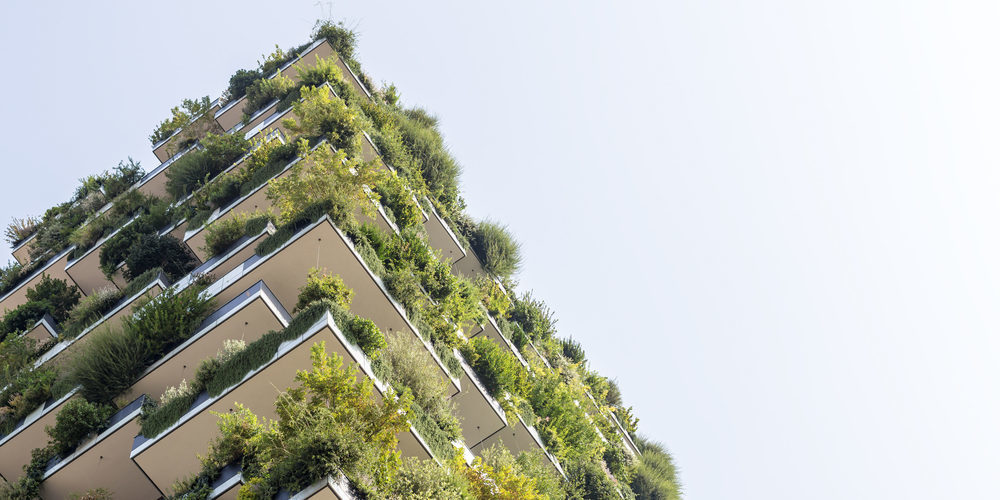 Image d'illustration immeuble verdure