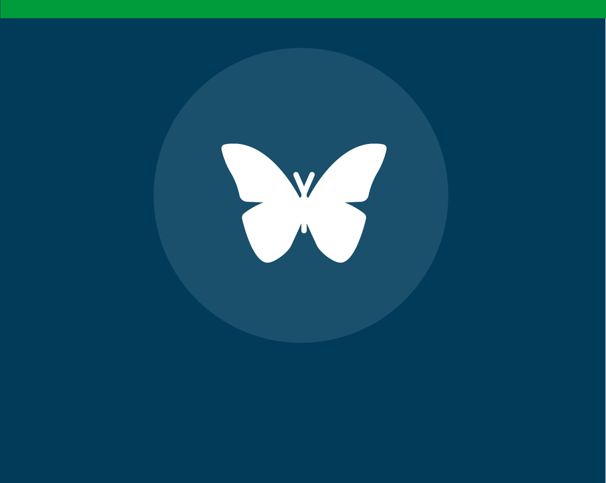 Illustration d'un papillon