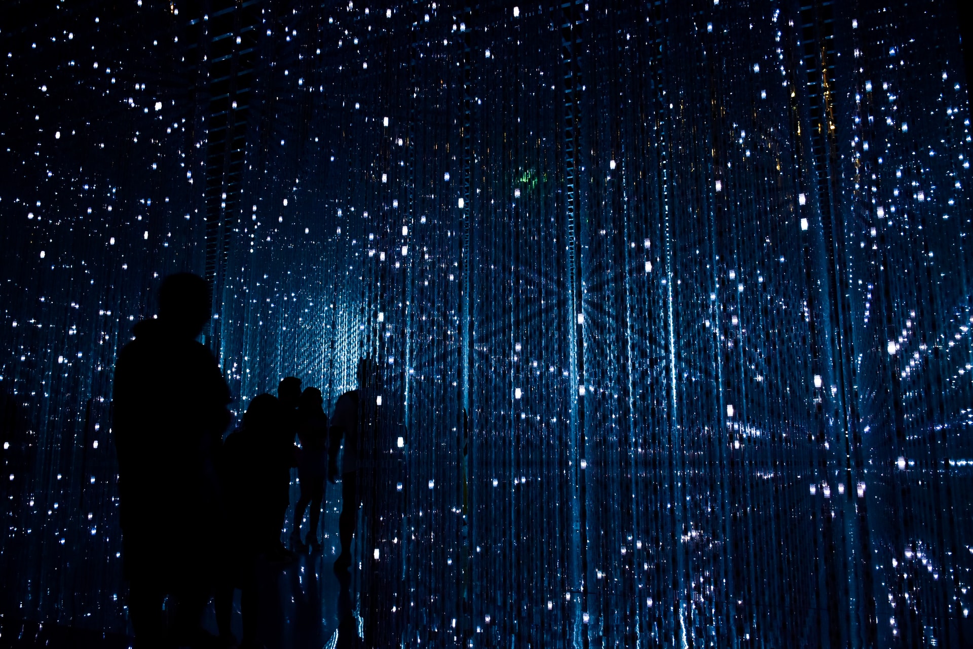 Photo installation immersive