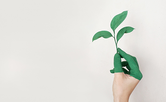 Photo d'une main avec une plante dans celle-ci