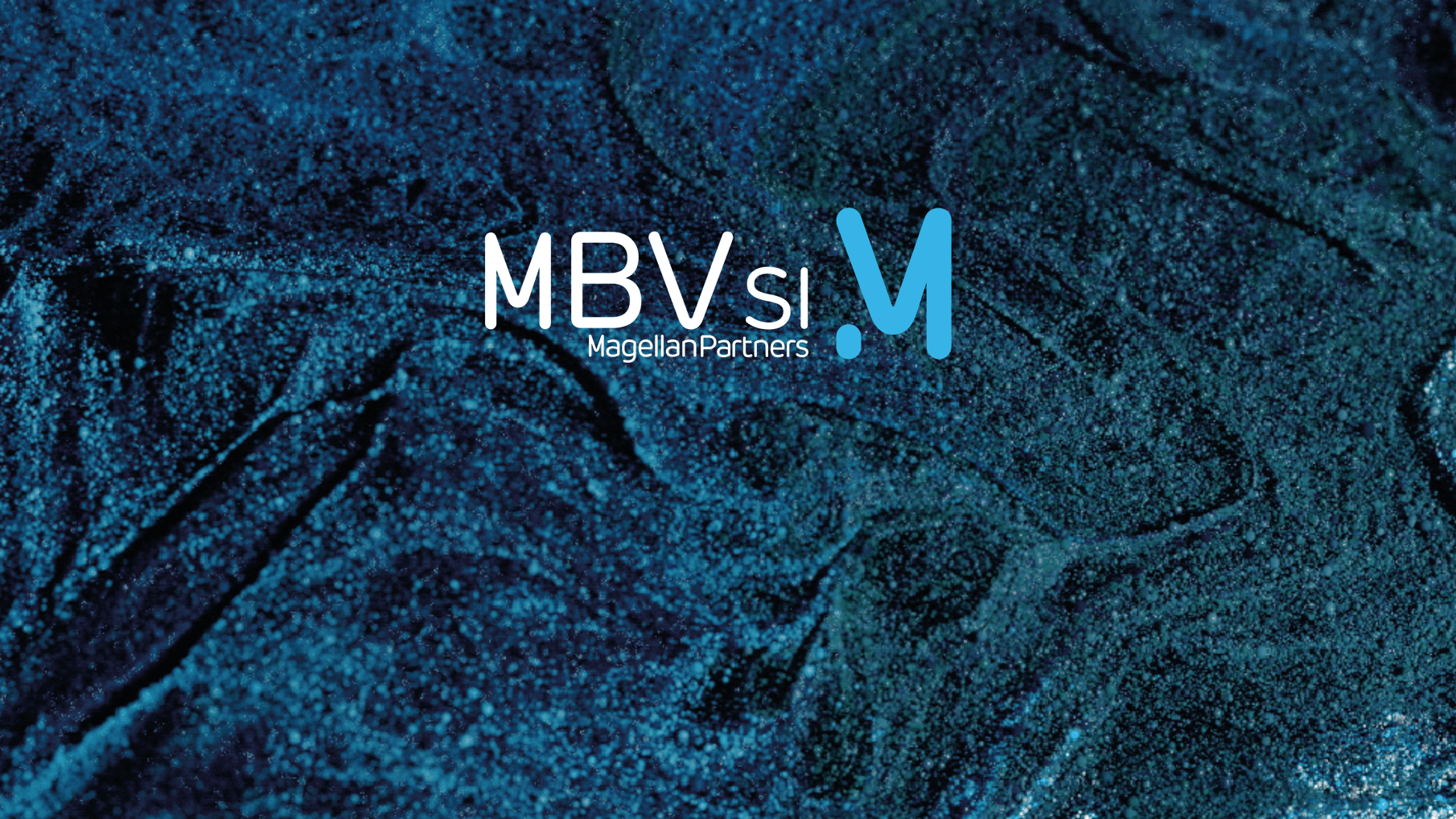 a-propos-mbvsi
